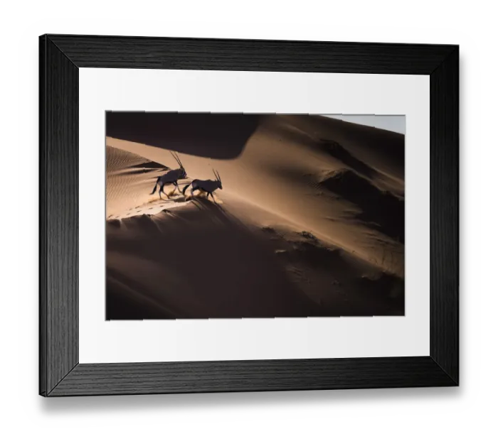 Framed Print : Aerial view of two Gemsbok (Oryx gazella) in sand dunes, Namib Desert, Namibia Framed Print : Aerial view of two Gemsbok (Oryx gazella) in sand dunes, Namib Desert, Namibia