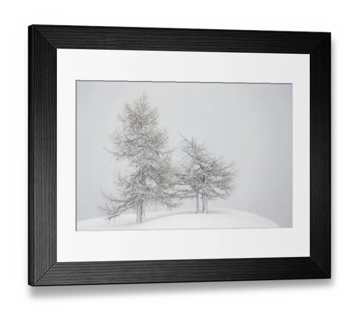 Framed Print : Alpine landscape with snow covered trees. Gran Paradiso National Park, Italy, January Framed Print : Alpine landscape with snow covered trees. Gran Paradiso National Park, Italy, January