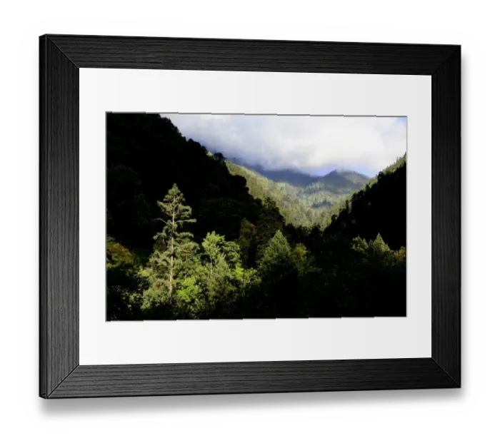 Framed Print : Mountain forests where the Yunnan snub-nosed monkey (Rhinopithecus bieti) lives, Yunnan, China