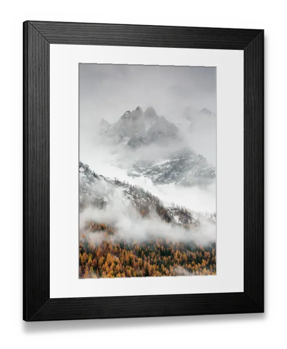 Framed Print : Snow covered mountain sides in Valsavarenche Valley with European larch (Larix decidua) trees in autumn, Gran Paradiso National Parks, Italy, November 2014. Highly commended in the Portfolio category of the Terre Sauvage Nature Images Awards 2017 Framed Print : Snow covered mountain sides in Valsavarenche Valley with European larch (Larix decidua) trees in autumn, Gran Paradiso National Parks, Italy, November 2014. Highly commended in the Portfolio category of the Terre Sauvage Nature Images Awards 2017