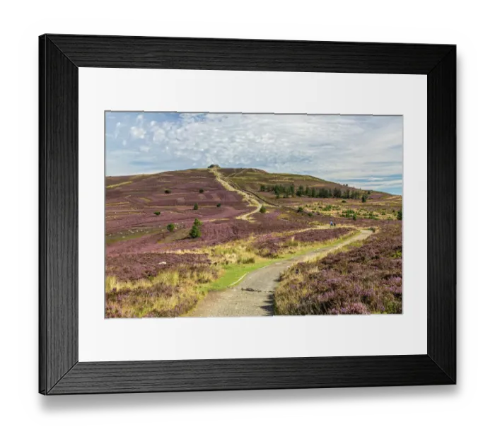 Framed Print : Offas Dyke path leading to the summit of Moel Famau in the Clwydian Mountain Range Framed Print : Offas Dyke path leading to the summit of Moel Famau in the Clwydian Mountain Range