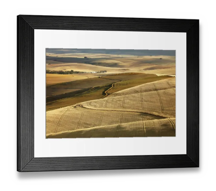 Framed Print : Rolling farmland in the Overberg region near Villiersdorp, Western Cape, South Africa Framed Print : Rolling farmland in the Overberg region near Villiersdorp, Western Cape, South Africa