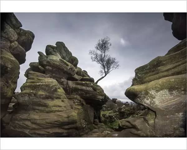 Rock formations at Brimham Rocks created by variable erosion of soft and hard layers