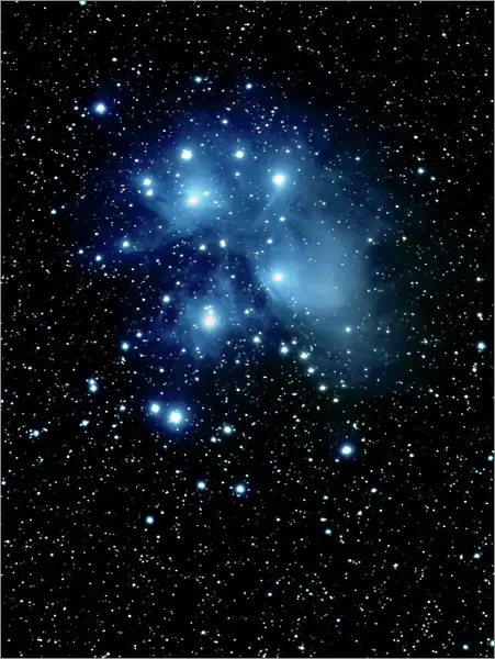 Pleiades or Seven Sisters (Messier 45 aka M45) in Taurus Constellation, taken from Eastern Colorado
