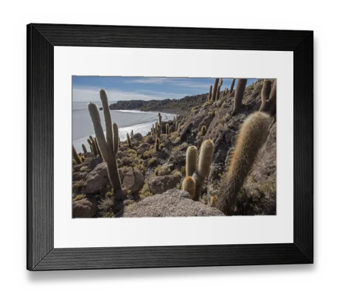 Framed Print : Isla / Island Incahuasi with cacti in the Salar de Uyuni salt flat, Altiplano, Bolivia Framed Print : Isla / Island Incahuasi with cacti in the Salar de Uyuni salt flat, Altiplano, Bolivia