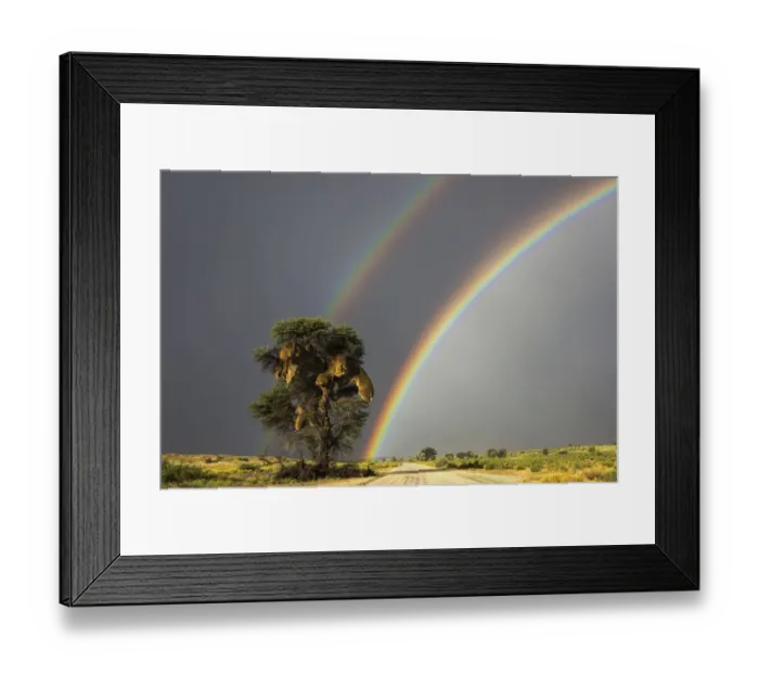 Framed Print : Double rainbow over Kgalagadi Transfrontier Park, Northern Cape, South Africa Framed Print : Double rainbow over Kgalagadi Transfrontier Park, Northern Cape, South Africa
