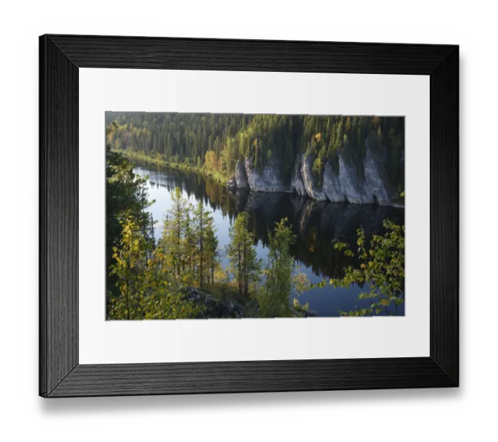Framed Print : River through Virgin Komi Forests UNESCO World Heritage site, the largest virgin forests in Europe Framed Print : River through Virgin Komi Forests UNESCO World Heritage site, the largest virgin forests in Europe