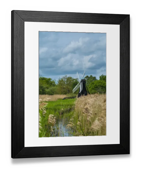 Framed Print : Wicken Fen wetlands with windmill water pump and Phragmites reeds, Cambridgeshire, England, May Framed Print : Wicken Fen wetlands with windmill water pump and Phragmites reeds, Cambridgeshire, England, May