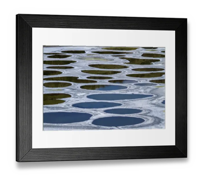 Framed Print : Spotted Lake, a saline endorheic alkali lake, a medicine lake for the Okanagan Syilx people Framed Print : Spotted Lake, a saline endorheic alkali lake, a medicine lake for the Okanagan Syilx people
