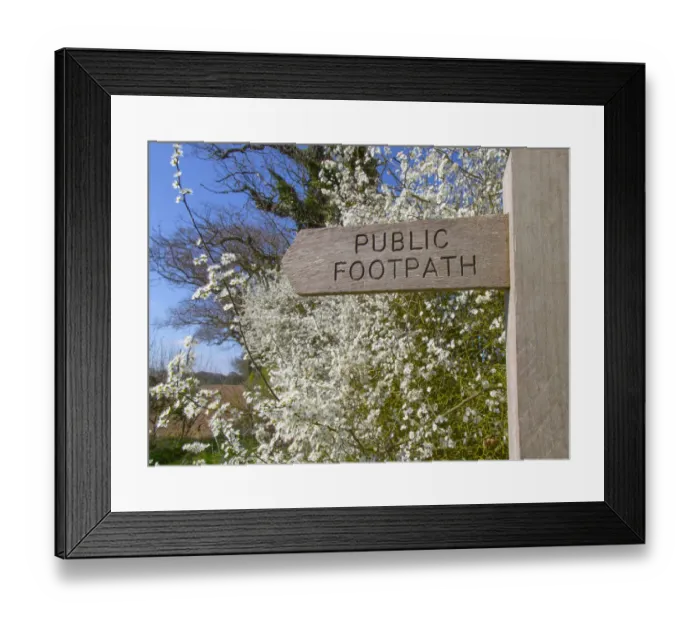 Framed Print : Footpath sign in Norfolk countryside with Blackthorn hedgerow (Prunus spinosa) in flower Framed Print : Footpath sign in Norfolk countryside with Blackthorn hedgerow (Prunus spinosa) in flower