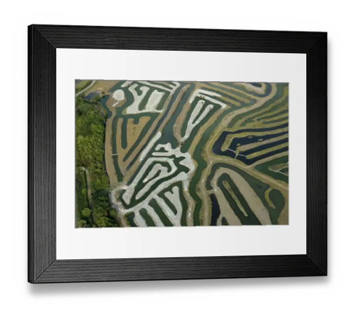 Framed Print : Aerial view of fish farm, La Guittiere Marsh, South Vendee, France, July 2017 Framed Print : Aerial view of fish farm, La Guittiere Marsh, South Vendee, France, July 2017