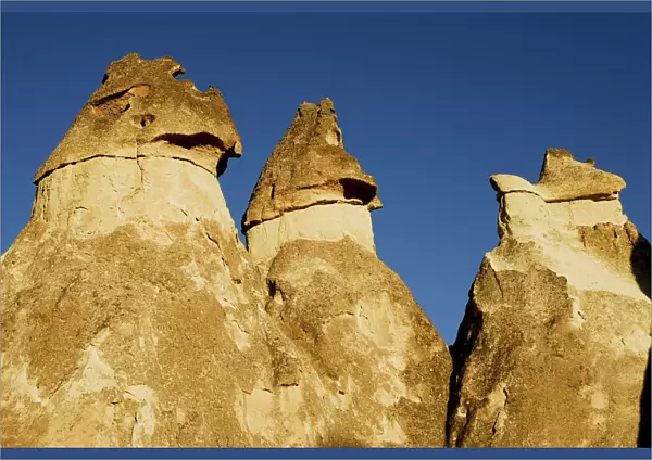 Pinnacles, also known as fairy chimneys or hoodoo, Love Valley. Goreme National Park