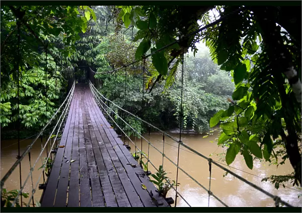 Suspension bridge across the river, entrance to Gunung Mulu National Park UNESCO