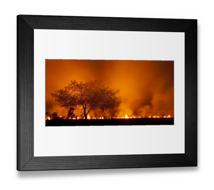 Framed Print : Grass fire at night in Pantanal, Brazil Framed Print : Grass fire at night in Pantanal, Brazil