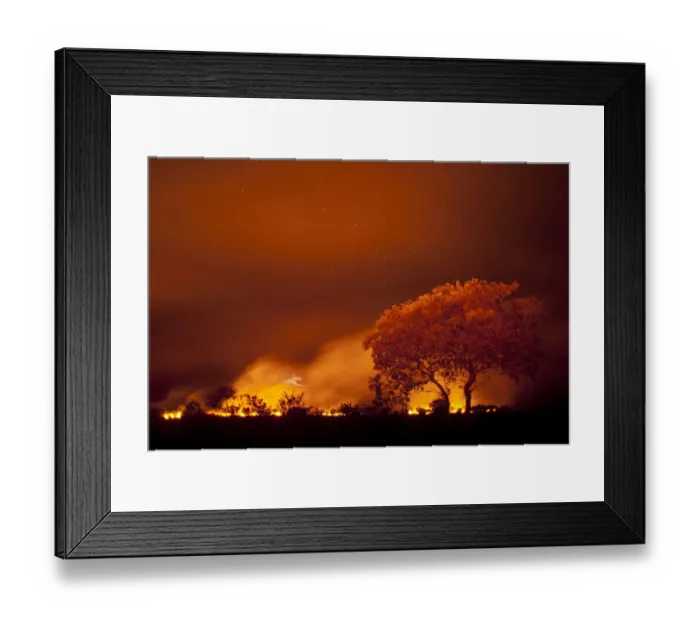 Framed Print : Grass fire at night in Pantanal, Brazil Framed Print : Grass fire at night in Pantanal, Brazil