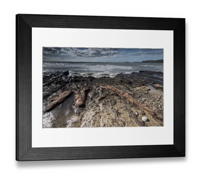 Framed Print : Part of a submerged Holocene forest, revealed after a winter storm from beneath Framed Print : Part of a submerged Holocene forest, revealed after a winter storm from beneath