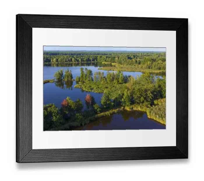 Framed Print : Aerial view of wetlands landscape, Wild Grey wolf (Canis lupus) habitat, Saxony, Germany, September Framed Print : Aerial view of wetlands landscape, Wild Grey wolf (Canis lupus) habitat, Saxony, Germany, September