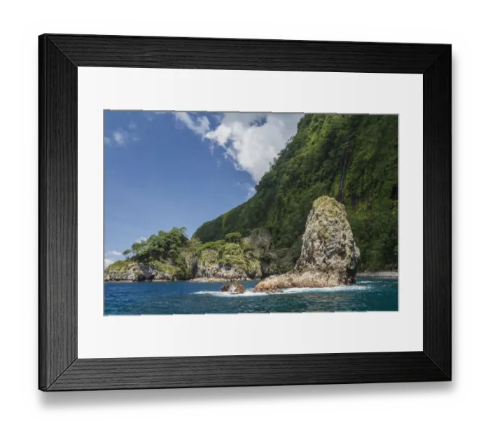 Framed Print : Rocks and coastal rainforest. Cocos Island National Park, Costa Rica. 2018 Framed Print : Rocks and coastal rainforest. Cocos Island National Park, Costa Rica. 2018