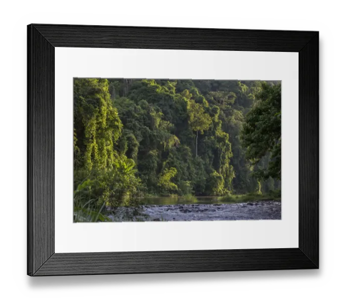 Framed Print : Rainforest and river outside the Batak village of Sitio Manggapin in Cleopatra s Framed Print : Rainforest and river outside the Batak village of Sitio Manggapin in Cleopatra s