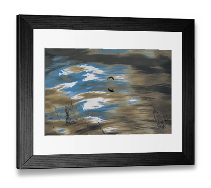 Framed Print : Abstract patterns of reflected sky and clouds on the ocean with a silhouetted Red-faced cormorant Framed Print : Abstract patterns of reflected sky and clouds on the ocean with a silhouetted Red-faced cormorant