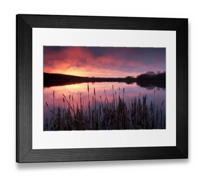 Framed Print : Lower Tamar Lake, at sunrise, reflections and reeds, north Cornwall / Devon border, UK Framed Print : Lower Tamar Lake, at sunrise, reflections and reeds, north Cornwall / Devon border, UK