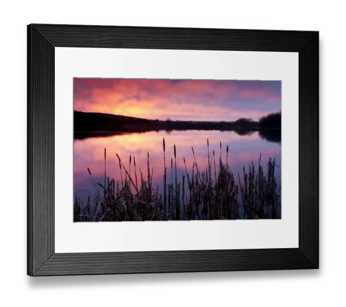 Framed Print : Lower Tamar Lake, colopurful sunrise, reflections and reeds, North Cornwall / Devon border, UK Framed Print : Lower Tamar Lake, colopurful sunrise, reflections and reeds, North Cornwall / Devon border, UK
