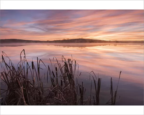 Lower Tamar Lake and reeds at sunrise, North Cornwall, UK. November 2014