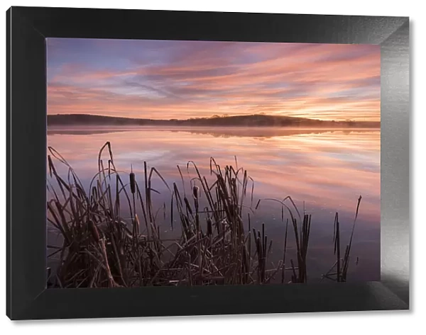 Lower Tamar Lake and reeds at sunrise, North Cornwall, UK. November 2014