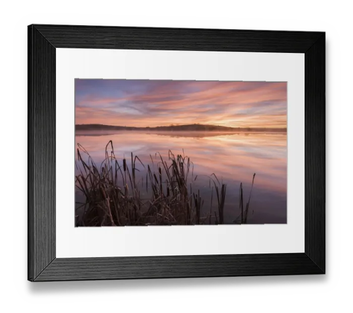 Framed Print : Lower Tamar Lake and reeds at sunrise, North Cornwall, UK. November 2014 Framed Print : Lower Tamar Lake and reeds at sunrise, North Cornwall, UK. November 2014