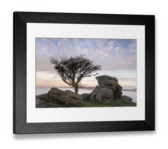 Framed Print : Hawthorn tree and granite outcrop at Holwell tor, sunrise and mist, Dartmoor National Park Framed Print : Hawthorn tree and granite outcrop at Holwell tor, sunrise and mist, Dartmoor National Park