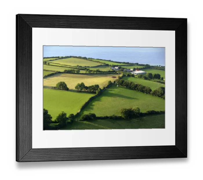 Framed Print : Farm on coast near Porlock, Exmoor, Somerset, UK. August 2009 Framed Print : Farm on coast near Porlock, Exmoor, Somerset, UK. August 2009