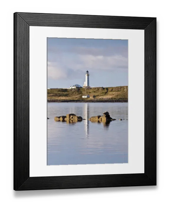 Framed Print : Seal (Phoca vitulina) on rock at Seal Shore Campsite, with Pladda Lighthouse beyond Framed Print : Seal (Phoca vitulina) on rock at Seal Shore Campsite, with Pladda Lighthouse beyond