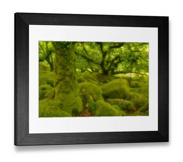 Framed Print : Stunted oak woodland covered in moss, Wistmans Wood, Devon, UK Framed Print : Stunted oak woodland covered in moss, Wistmans Wood, Devon, UK