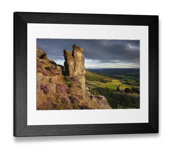 Framed Print : The Pinnacle Stone, Curbar Edge surrounded by flowering heather. Peak District National Park