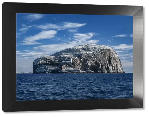 The Bass Rock home to large Northern gannet (Morus bassanus) Firth of Forth, Scotland, UK