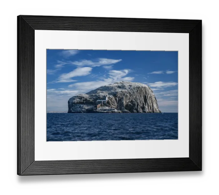 Framed Print : The Bass Rock home to large Northern gannet (Morus bassanus) Firth of Forth, Scotland, UK Framed Print : The Bass Rock home to large Northern gannet (Morus bassanus) Firth of Forth, Scotland, UK