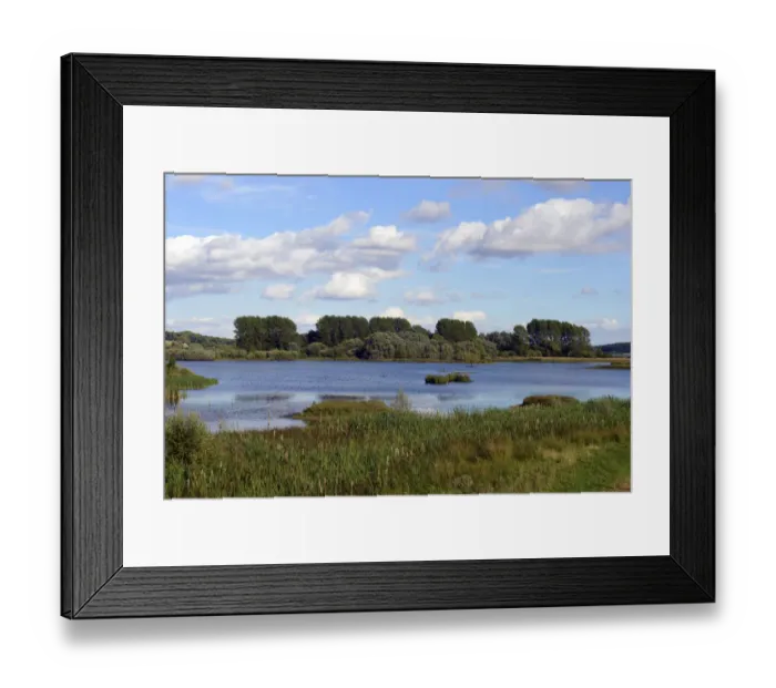 Framed Print : View of Rutland Water Nature Reserve, RAMSAR site, Special Protection Area and Site Framed Print : View of Rutland Water Nature Reserve, RAMSAR site, Special Protection Area and Site