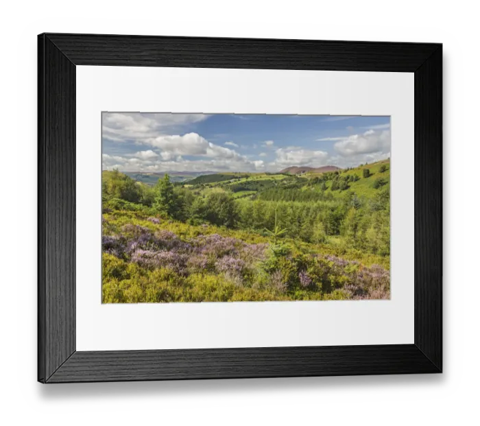 Framed Print : View looking west from Ruabon Mountain near Worlds End with Llantysilio Mountain Framed Print : View looking west from Ruabon Mountain near Worlds End with Llantysilio Mountain