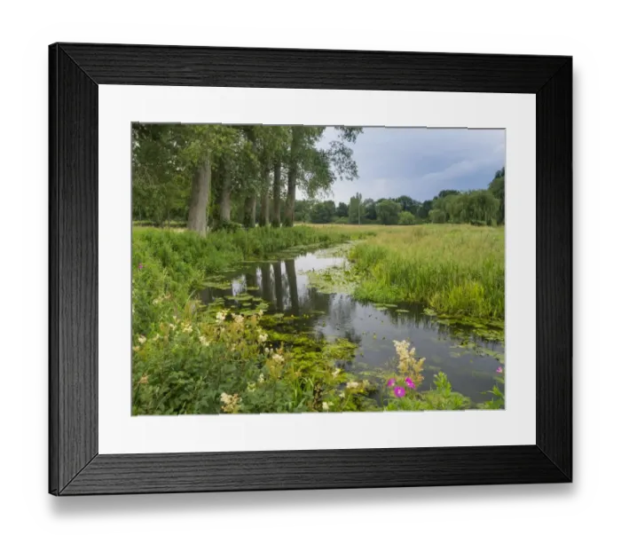 Framed Print : River Wensum in summer Norfolk, England, UK. August Framed Print : River Wensum in summer Norfolk, England, UK. August