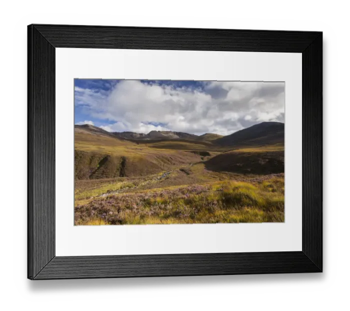 Framed Print : RF - Heather moorland in the foothills of the Cairngorm mountains, Scotland, UK. August Framed Print : RF - Heather moorland in the foothills of the Cairngorm mountains, Scotland, UK. August