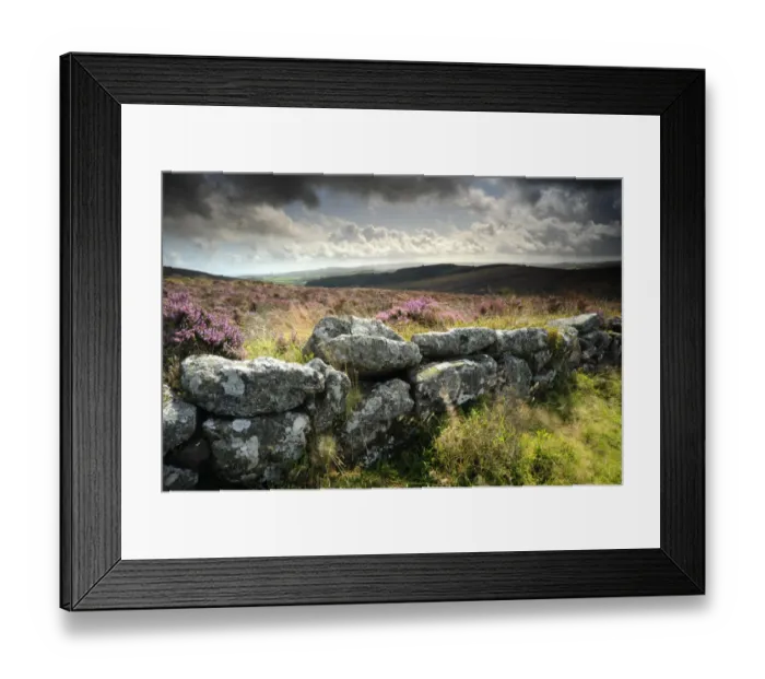 Framed Print : Dry stone wall, near Birch tor, Dartmoor NP, Devon. September 2008 Framed Print : Dry stone wall, near Birch tor, Dartmoor NP, Devon. September 2008