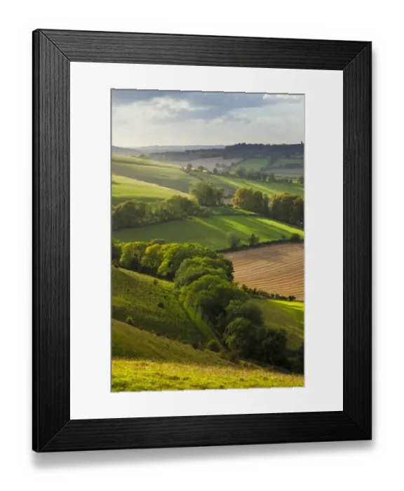 Framed Print : Chalk downland landscape with mixed farming, Cranborne Chase, Wiltshire, England, UK Framed Print : Chalk downland landscape with mixed farming, Cranborne Chase, Wiltshire, England, UK