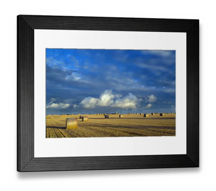Framed Print : Bales of straw and stubble in field with St James Church in the background, Southrepps Framed Print : Bales of straw and stubble in field with St James Church in the background, Southrepps