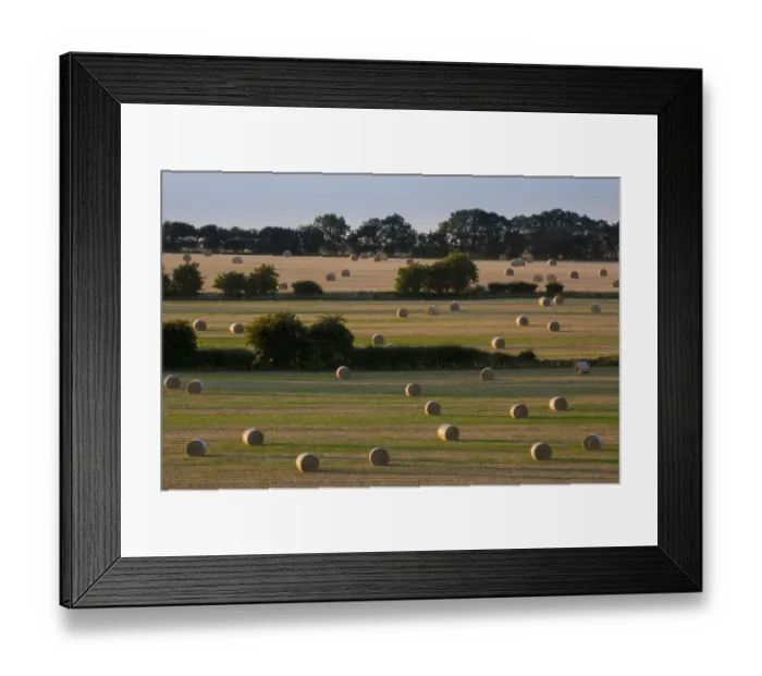 Framed Print : Straw bales after harvest in late summer Cotswold landscape, Hawkesbury Upton, Gloucestershire Framed Print : Straw bales after harvest in late summer Cotswold landscape, Hawkesbury Upton, Gloucestershire