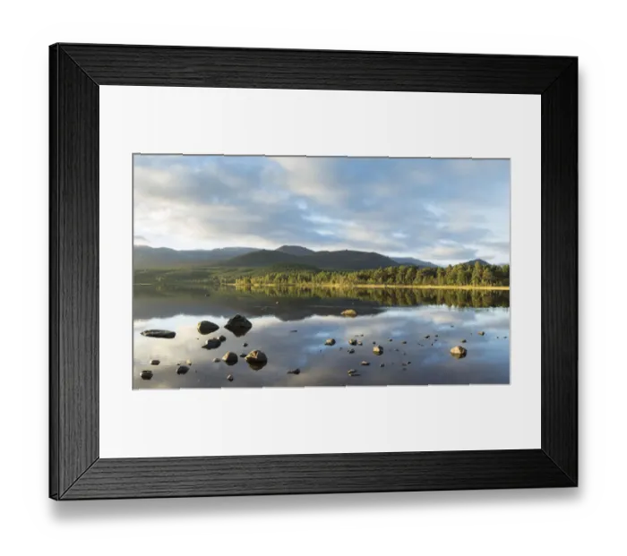 Framed Print : Pine forest and mountains reflected in Loch Morlich, Rothiemurchus, Cairngorms National Park Framed Print : Pine forest and mountains reflected in Loch Morlich, Rothiemurchus, Cairngorms National Park