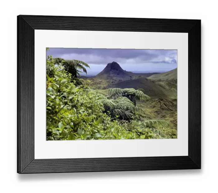 Framed Print : Santa Cruz Island highlands with Puntudo spatter cone and lush vegetation with Cyathea treeferns Framed Print : Santa Cruz Island highlands with Puntudo spatter cone and lush vegetation with Cyathea treeferns
