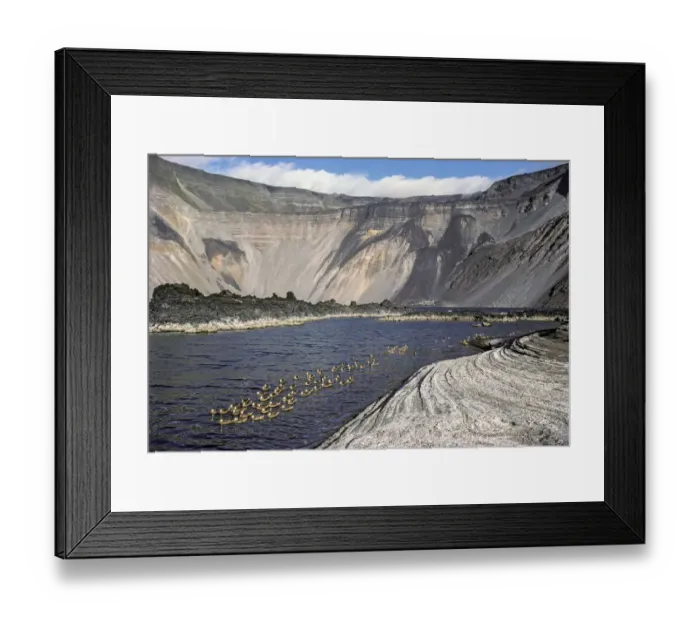 Framed Print : Mineral lake with White-cheeked pintails (Anas bahamensis) during quiet volcanic period Framed Print : Mineral lake with White-cheeked pintails (Anas bahamensis) during quiet volcanic period