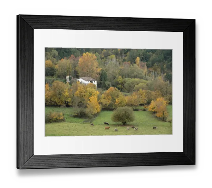 Framed Print : Farmhouse with cows in field. Zona Volcanica de la Garrotxa Natural Park, Gerona, Spain Framed Print : Farmhouse with cows in field. Zona Volcanica de la Garrotxa Natural Park, Gerona, Spain