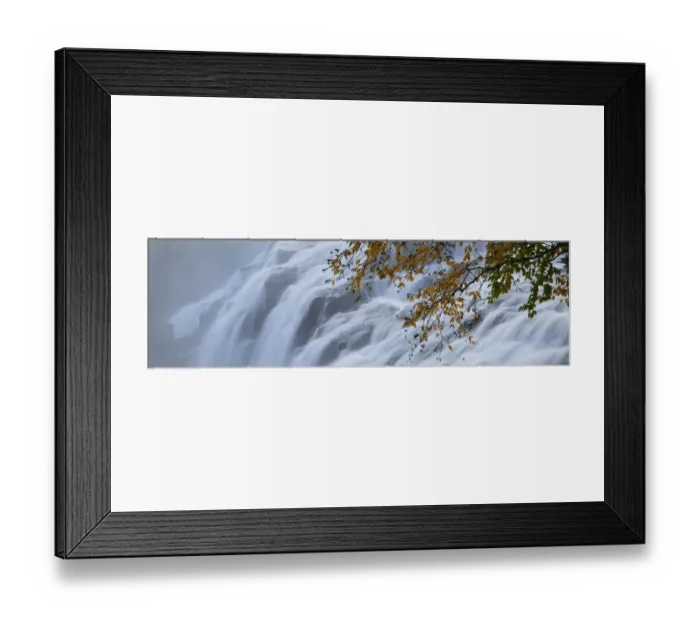 Framed Print : Autumn leaves on branch overhanging waterfall, Bond Falls, Upper Peninsula, Michigan, USA Framed Print : Autumn leaves on branch overhanging waterfall, Bond Falls, Upper Peninsula, Michigan, USA