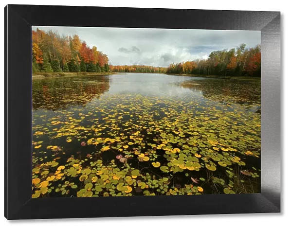 Lake and mixed woodland in autumn, Upper Peninsula, Michigan, USA